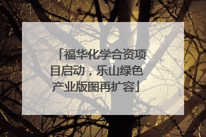 福华化学合资项目启动，乐山绿色产业版图再扩容