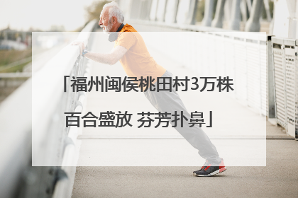 福州闽侯桃田村3万株百合盛放 芬芳扑鼻
