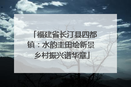 福建省长汀县四都镇：水韵圭田绘新景 乡村振兴谱华章