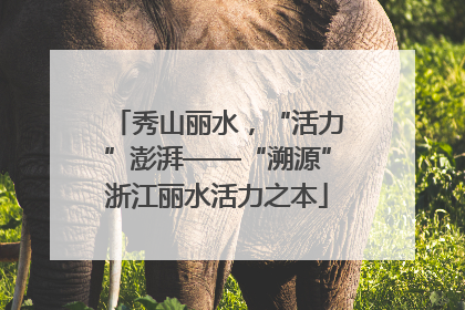 秀山丽水，“活力”澎湃——“溯源”浙江丽水活力之本