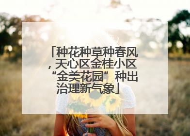 种花种草种春风，天心区金桂小区“金美花园”种出治理新气象