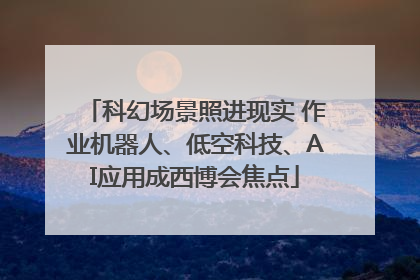 科幻场景照进现实 作业机器人、低空科技、AI应用成西博会焦点