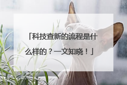 科技查新的流程是什么样的？一文知晓！