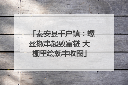 秦安县千户镇：螺丝椒串起致富链 大棚里绘就丰收图