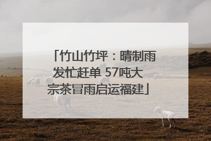 竹山竹坪：晴制雨发忙赶单 57吨大宗茶冒雨启运福建