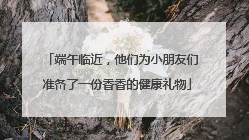 端午临近，他们为小朋友们准备了一份香香的健康礼物