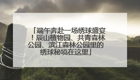 端午奔赴一场绣球盛宴！辰山植物园、共青森林公园、滨江森林公园里的绣球秘境在这里
