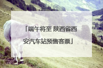 端午将至 陕西省西安汽车站预售客票