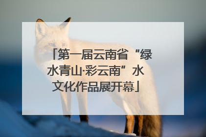 第一届云南省“绿水青山·彩云南”水文化作品展开幕
