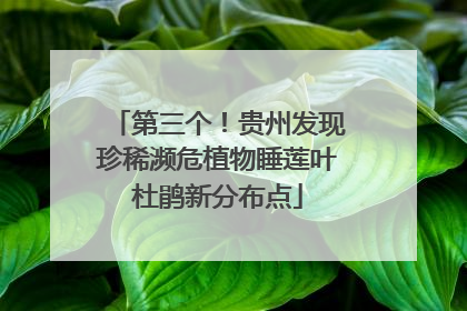 第三个！贵州发现珍稀濒危植物睡莲叶杜鹃新分布点