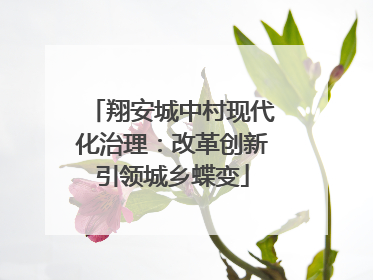 翔安城中村现代化治理：改革创新引领城乡蝶变
