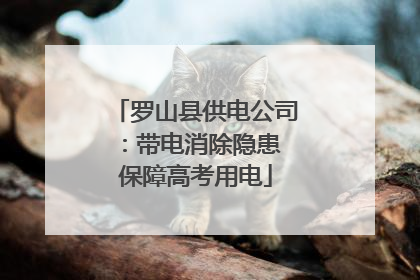罗山县供电公司：带电消除隐患 保障高考用电