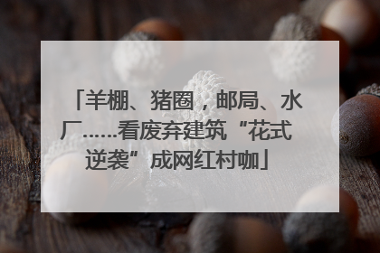 羊棚、猪圈，邮局、水厂……看废弃建筑“花式逆袭”成网红村咖