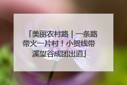 美丽农村路｜一条路带火一片村！小贺线带溪望谷成团出道