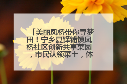 美丽凤桥带你寻梦田！宁乡夏铎铺镇凤桥社区创新共享菜园，市民认领菜土，体验耕种收获乐趣