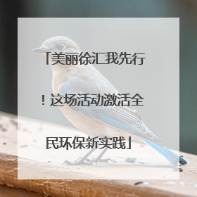 美丽徐汇我先行！这场活动激活全民环保新实践