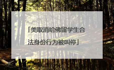 美取消哈佛留学生合法身份行为被叫停
