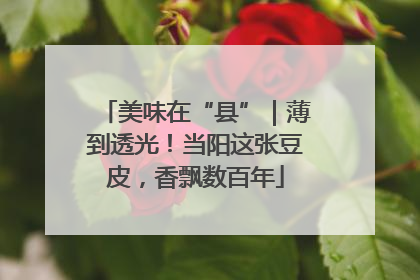 美味在“县”｜薄到透光！当阳这张豆皮，香飘数百年