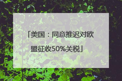 美国：同意推迟对欧盟征收50%关税