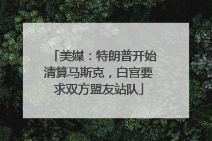 美媒：特朗普开始清算马斯克，白宫要求双方盟友站队