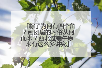 粽子为何有四个角？画团扇的习俗从何而来？西北过端午原来有这么多讲究