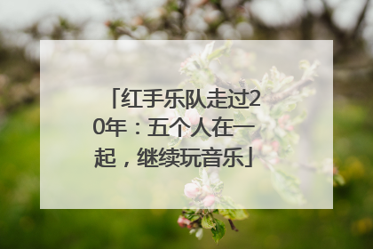 红手乐队走过20年：五个人在一起，继续玩音乐
