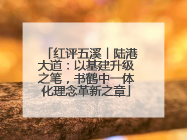红评五溪丨陆港大道：以基建升级之笔，书鹤中一体化理念革新之章