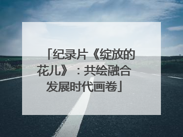 纪录片《绽放的花儿》：共绘融合发展时代画卷