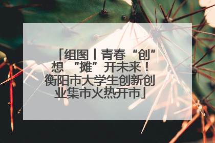 组图丨青春“创”想 “摊”开未来！衡阳市大学生创新创业集市火热开市
