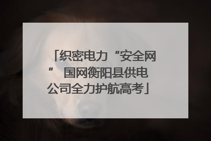 织密电力“安全网” 国网衡阳县供电公司全力护航高考