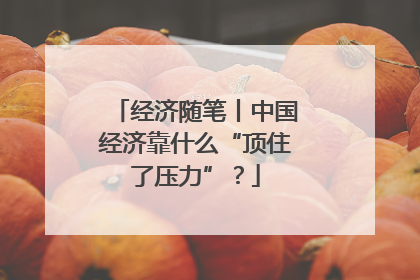 经济随笔丨中国经济靠什么“顶住了压力”？