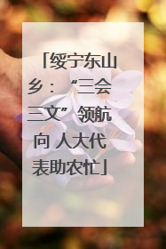 绥宁东山乡：“三会三文”领航向 人大代表助农忙