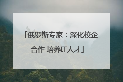 俄罗斯专家：深化校企合作 培养IT人才