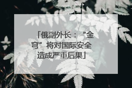 俄副外长：“金穹”将对国际安全造成严重后果
