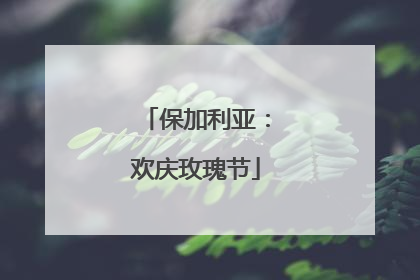保加利亚：欢庆玫瑰节
