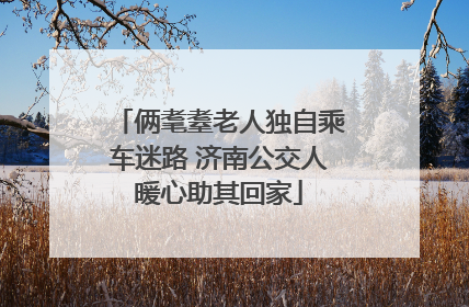 俩耄耋老人独自乘车迷路 济南公交人暖心助其回家
