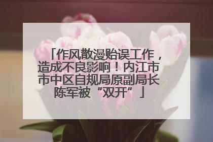 作风散漫贻误工作，造成不良影响！内江市市中区自规局原副局长陈军被“双开”