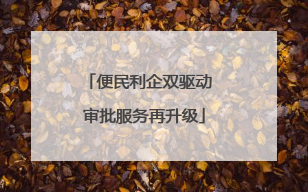便民利企双驱动 审批服务再升级