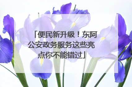 便民新升级！东阿公安政务服务这些亮点你不能错过
