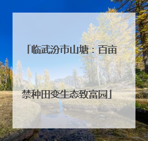 临武汾市山塘：百亩禁种田变生态致富园