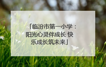 临汾市第一小学：阳光心灵伴成长 快乐成长筑未来