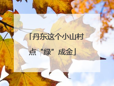 丹东这个小山村点“绿”成金