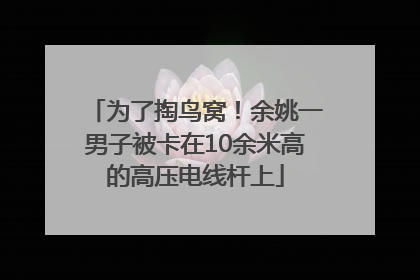 为了掏鸟窝！余姚一男子被卡在10余米高的高压电线杆上