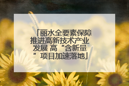 丽水全要素保障推进高新技术产业发展 高“含新量”项目加速落地