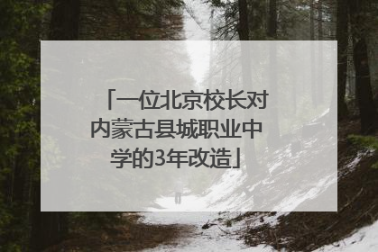 一位北京校长对内蒙古县城职业中学的3年改造