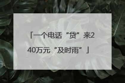 一个电话“贷”来240万元“及时雨”
