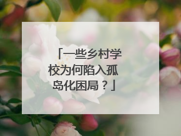 一些乡村学校为何陷入孤岛化困局？