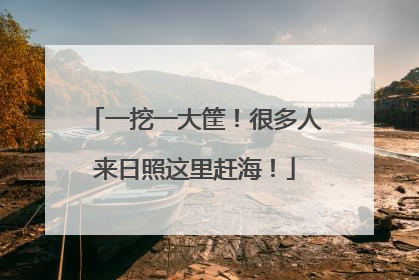 一挖一大筐！很多人来日照这里赶海！