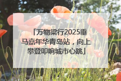 万物梁行2025垂马嘉年华青岛站，向上攀登叩响城市心跳