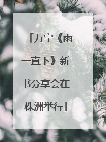 万宁《雨一直下》新书分享会在株洲举行